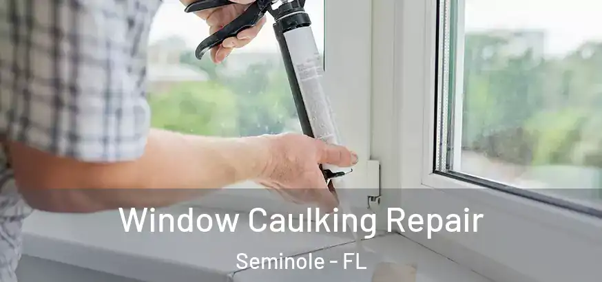  Window Caulking Repair Seminole - FL