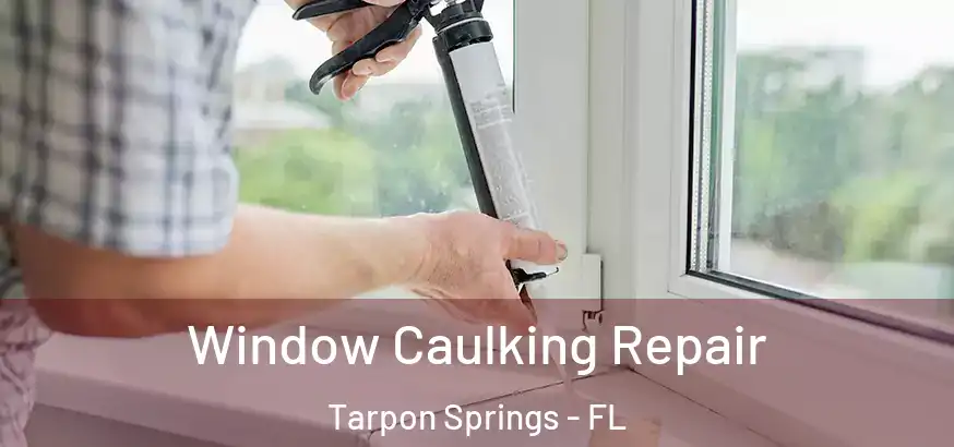  Window Caulking Repair Tarpon Springs - FL