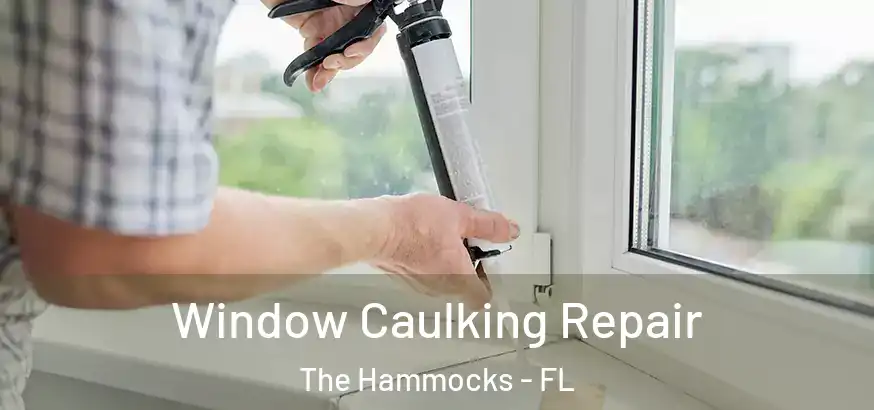  Window Caulking Repair The Hammocks - FL