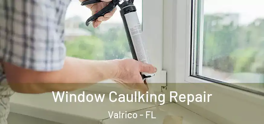  Window Caulking Repair Valrico - FL