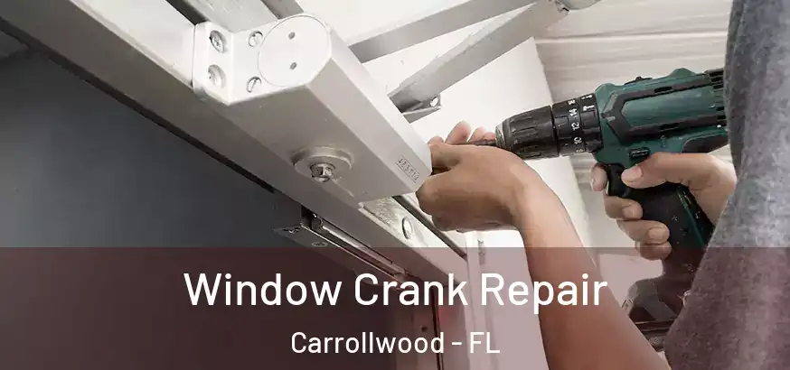 Window Crank Repair Carrollwood - FL
