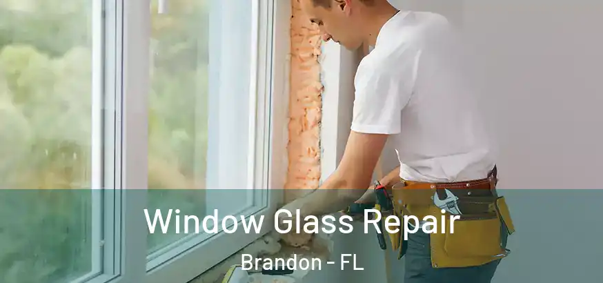  Window Glass Repair Brandon - FL