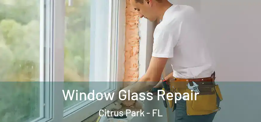  Window Glass Repair Citrus Park - FL
