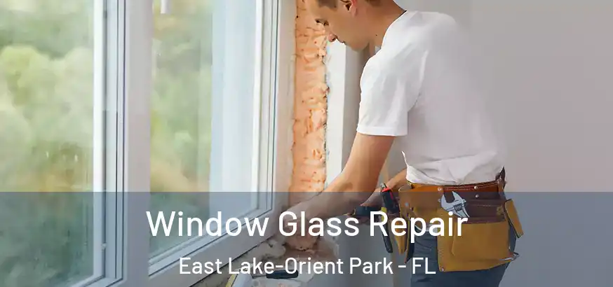  Window Glass Repair East Lake-Orient Park - FL