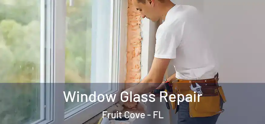 Window Glass Repair Fruit Cove - FL