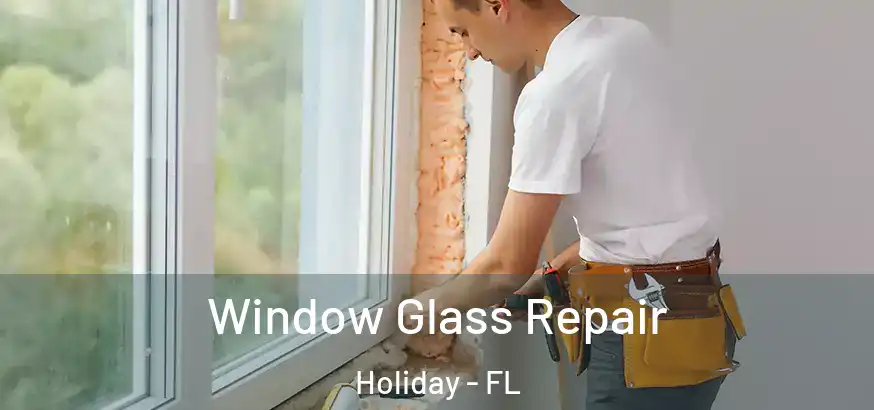  Window Glass Repair Holiday - FL