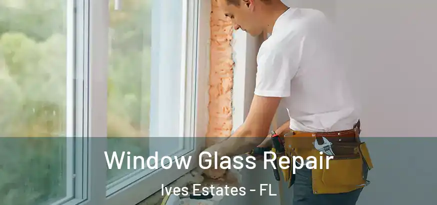  Window Glass Repair Ives Estates - FL