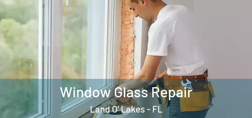 Window Glass Repair Land O' Lakes - FL