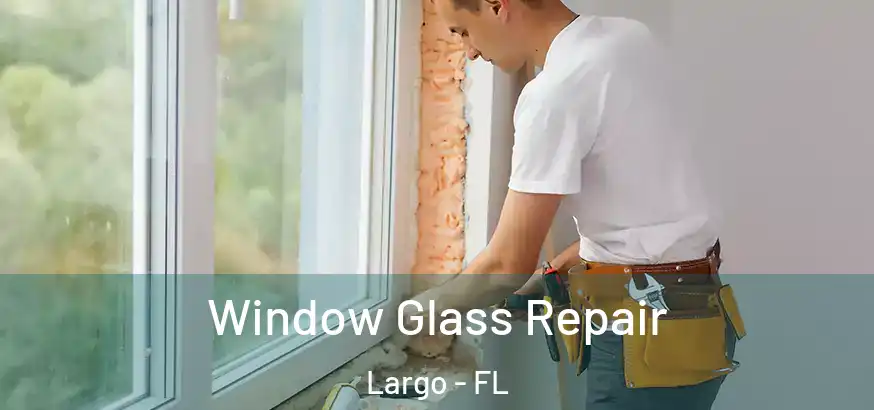  Window Glass Repair Largo - FL