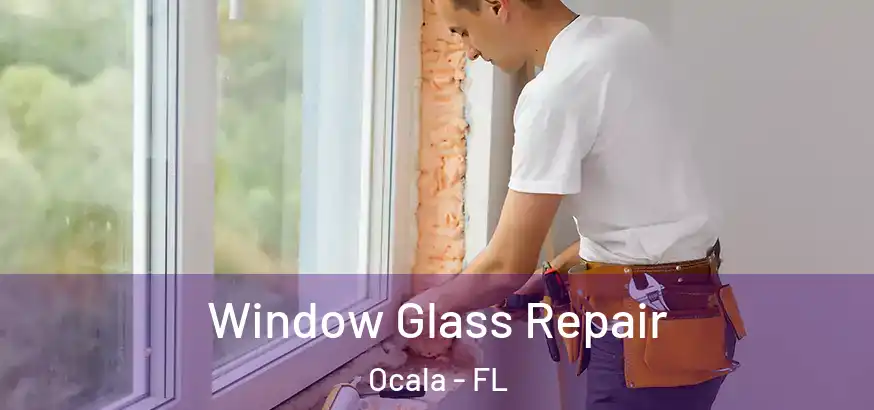  Window Glass Repair Ocala - FL