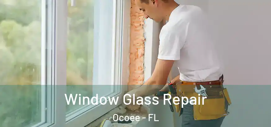 Window Glass Repair Ocoee - FL