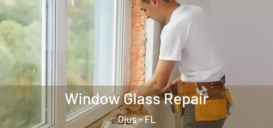 Window Glass Repair Ojus - FL
