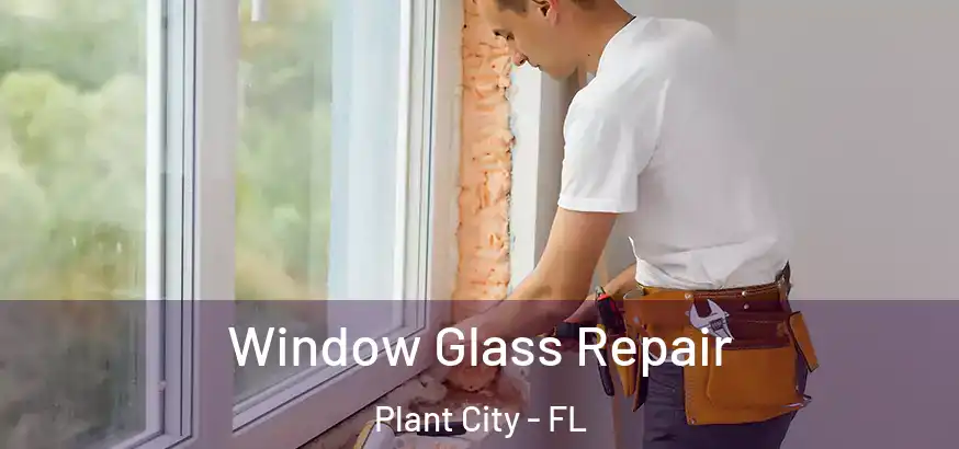  Window Glass Repair Plant City - FL