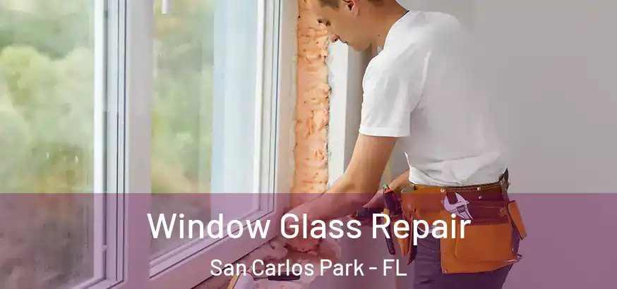  Window Glass Repair San Carlos Park - FL