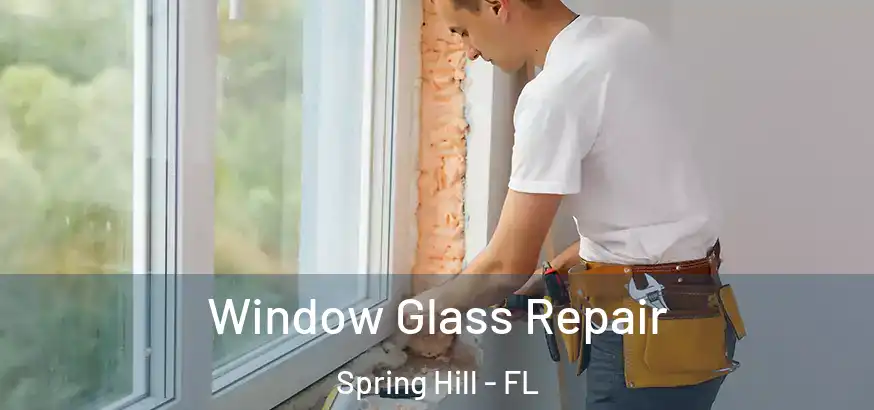 Window Glass Repair Spring Hill - FL
