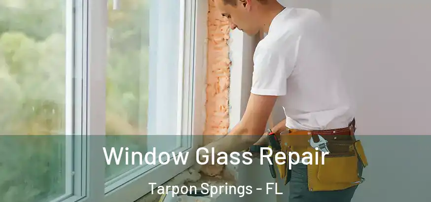  Window Glass Repair Tarpon Springs - FL