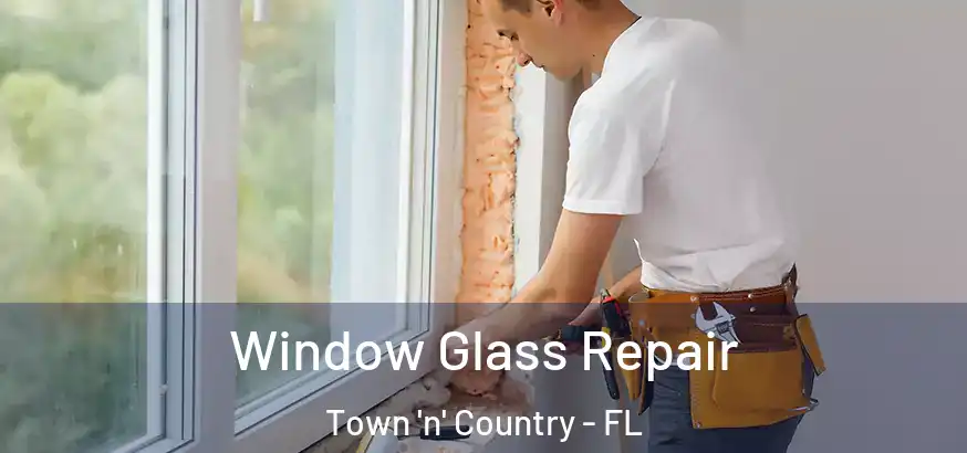  Window Glass Repair Town 'n' Country - FL