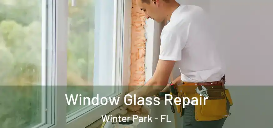  Window Glass Repair Winter Park - FL
