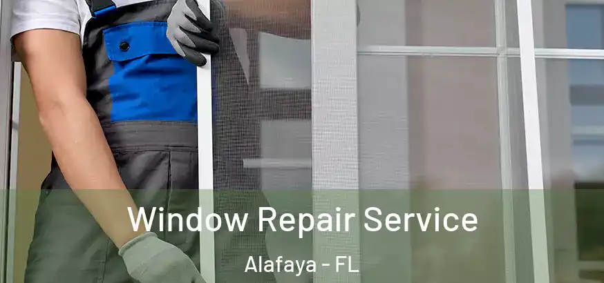  Window Repair Service Alafaya - FL