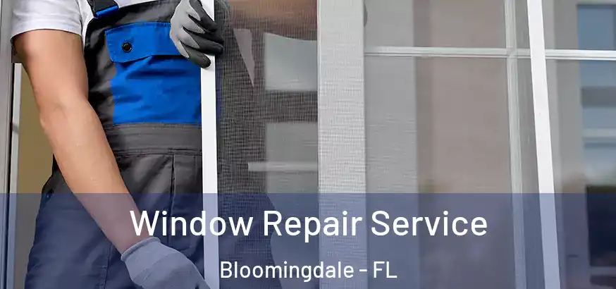 Window Repair Service Bloomingdale - FL