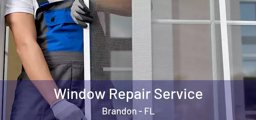  Window Repair Service Brandon - FL