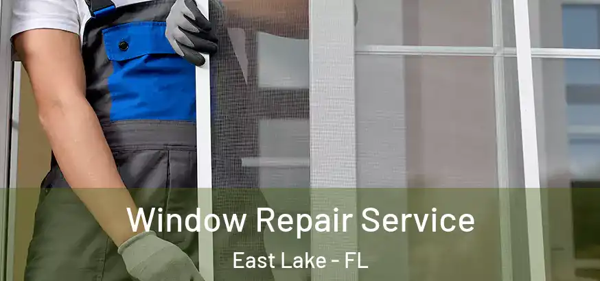  Window Repair Service East Lake - FL
