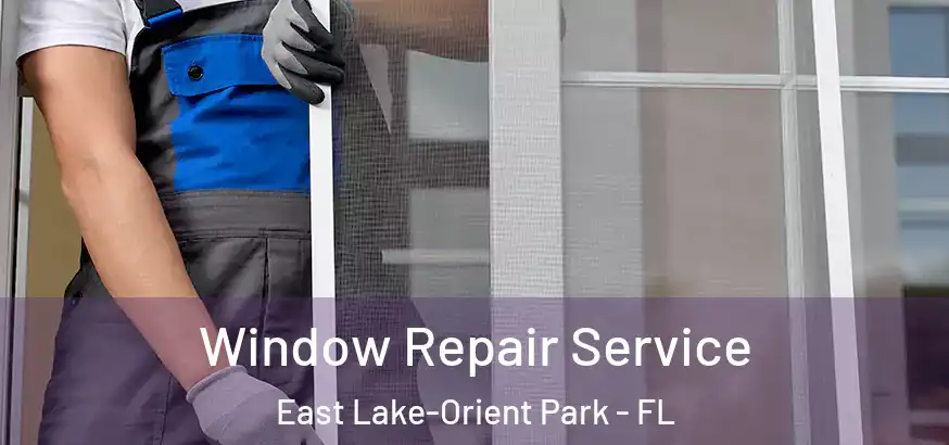  Window Repair Service East Lake-Orient Park - FL