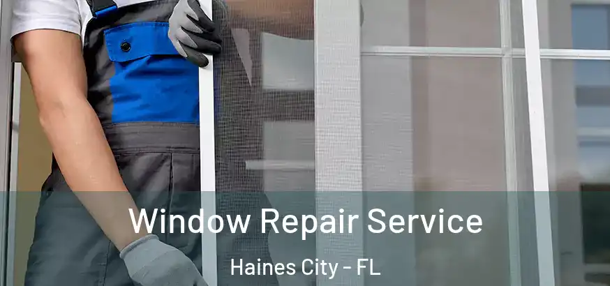 Window Repair Service Haines City - FL