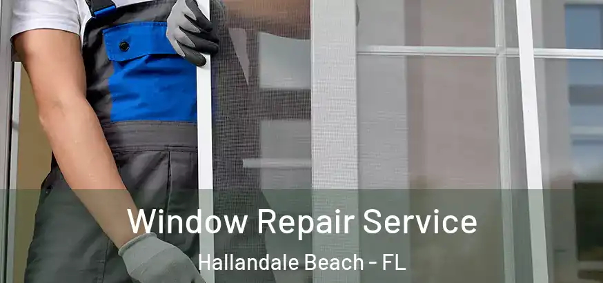 Window Repair Service Hallandale Beach - FL