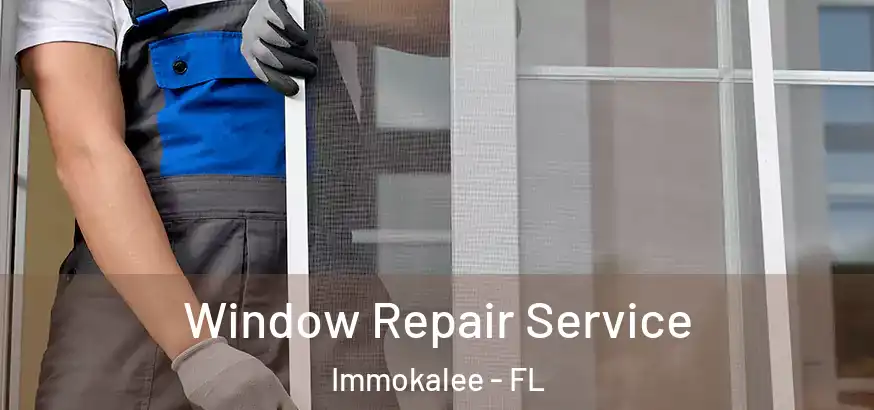  Window Repair Service Immokalee - FL