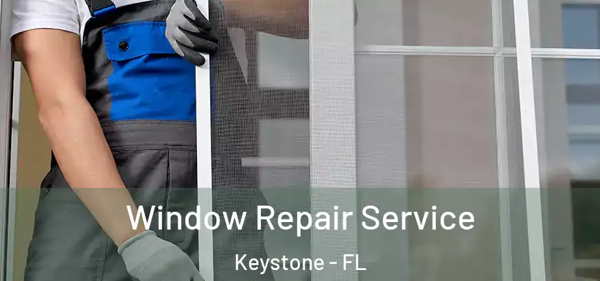  Window Repair Service Keystone - FL