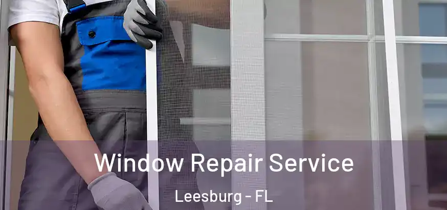 Window Repair Service Leesburg - FL