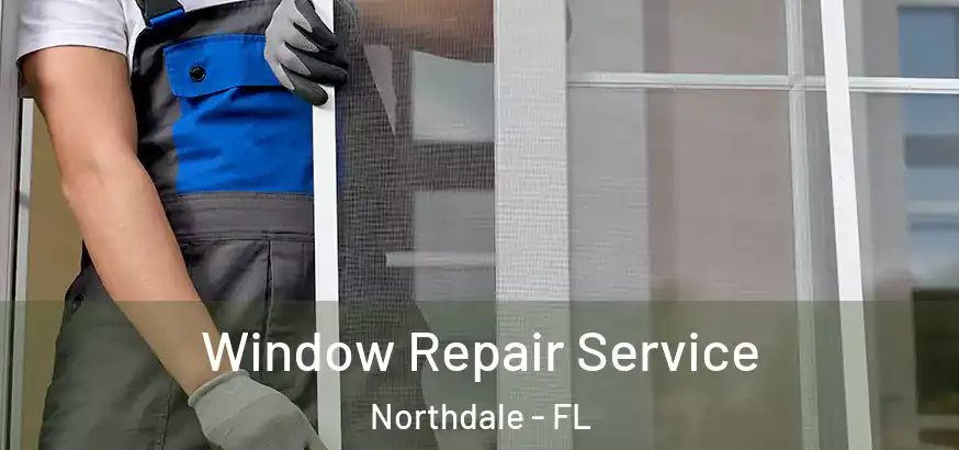 Window Repair Service Northdale - FL
