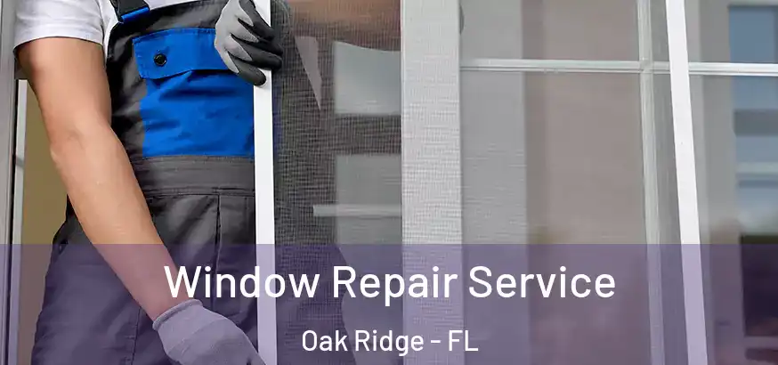  Window Repair Service Oak Ridge - FL