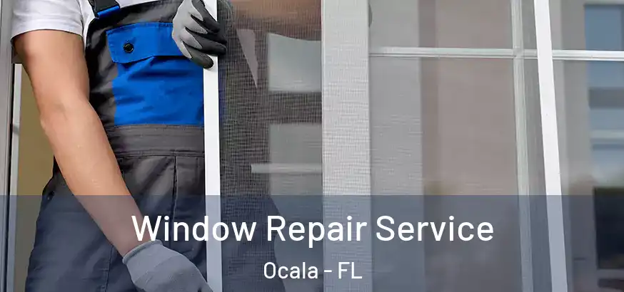  Window Repair Service Ocala - FL