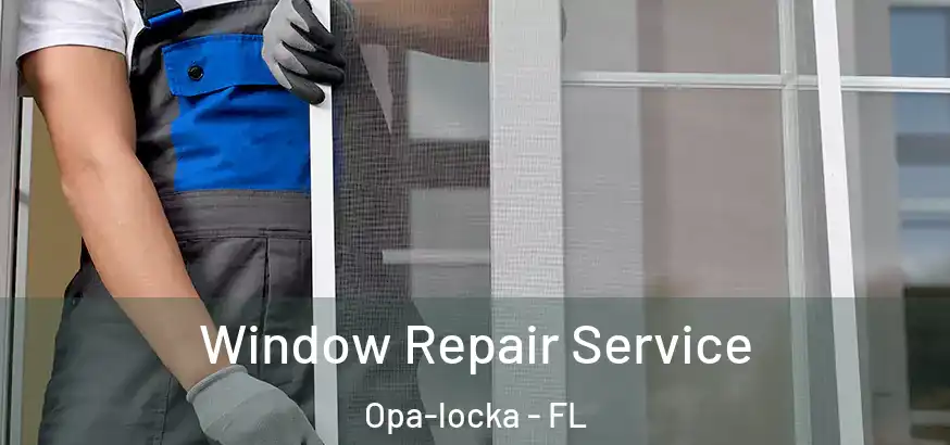 Window Repair Service Opa-locka - FL