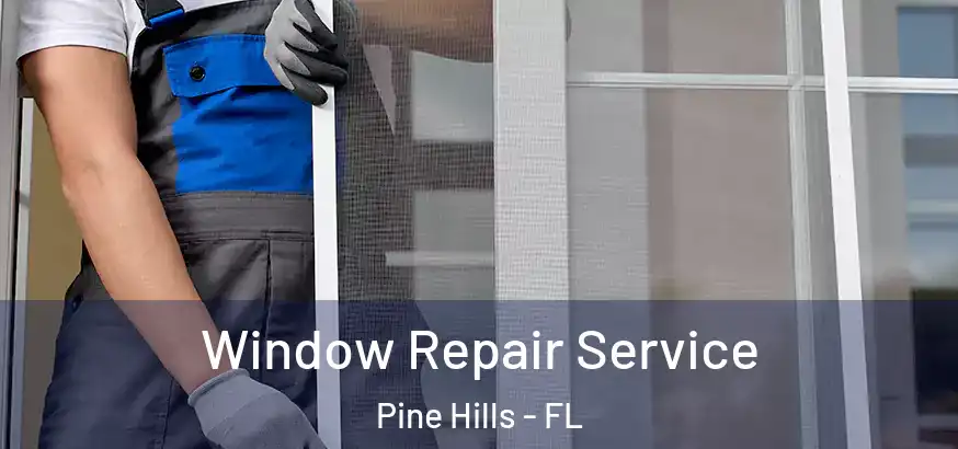  Window Repair Service Pine Hills - FL