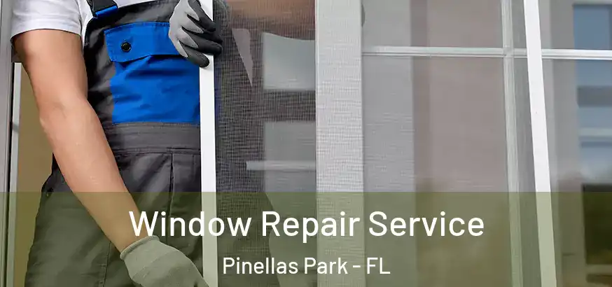  Window Repair Service Pinellas Park - FL