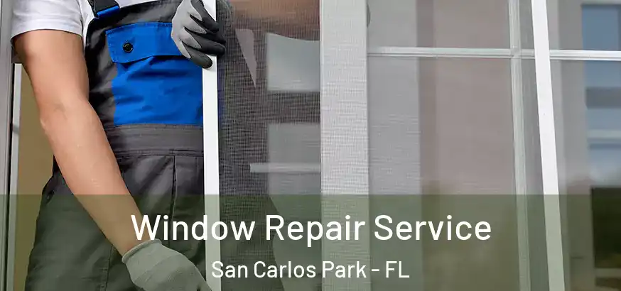  Window Repair Service San Carlos Park - FL