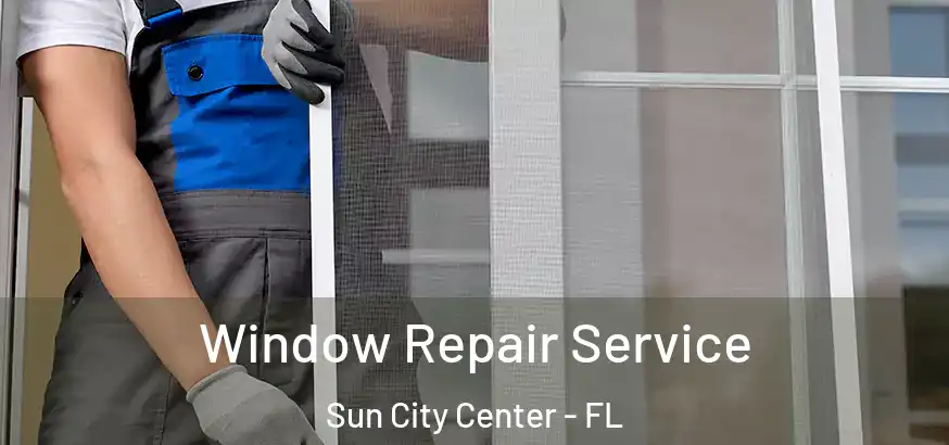  Window Repair Service Sun City Center - FL
