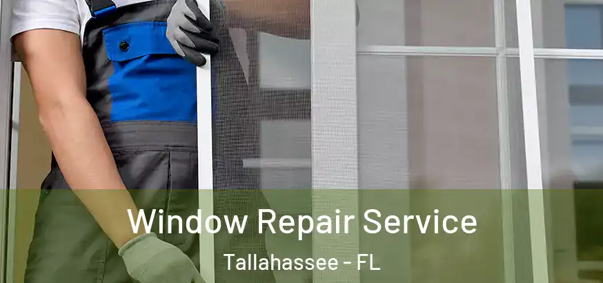 Window Repair Service Tallahassee - FL