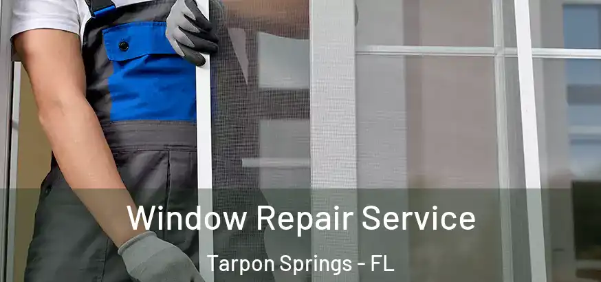  Window Repair Service Tarpon Springs - FL
