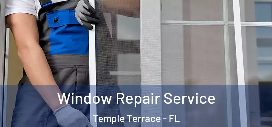 Window Repair Service Temple Terrace - FL