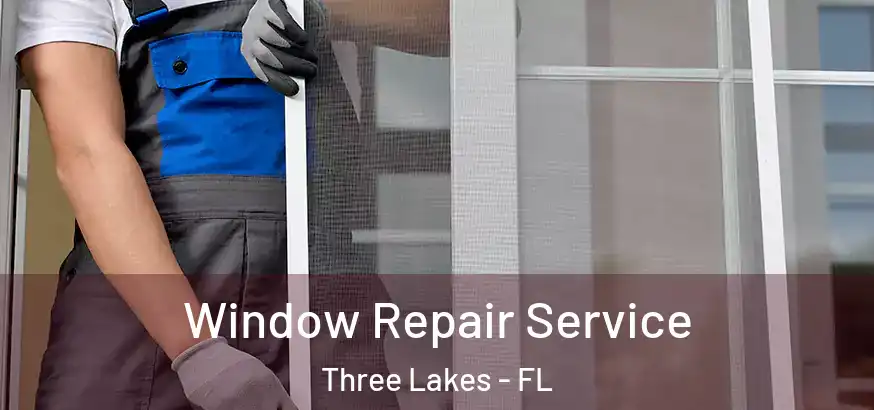  Window Repair Service Three Lakes - FL