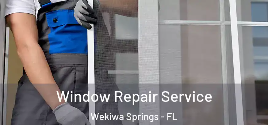 Window Repair Service Wekiwa Springs - FL