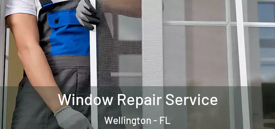  Window Repair Service Wellington - FL
