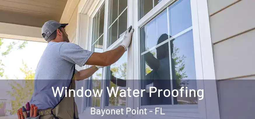 Window Water Proofing Bayonet Point - FL
