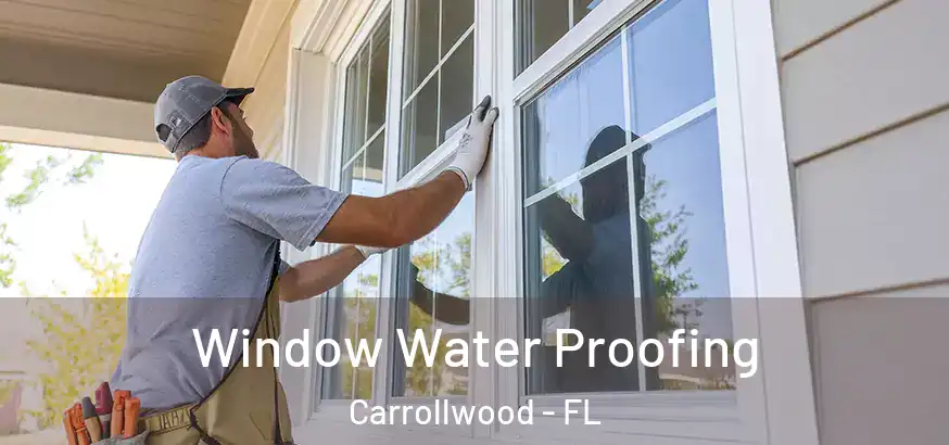 Window Water Proofing Carrollwood - FL