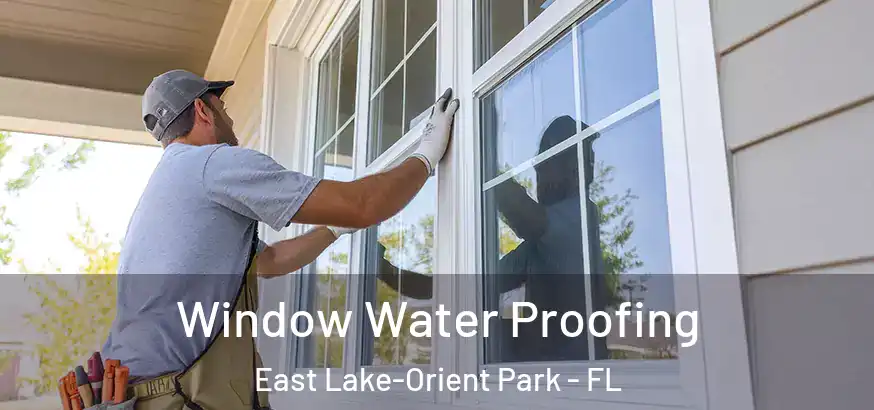 Window Water Proofing East Lake-Orient Park - FL