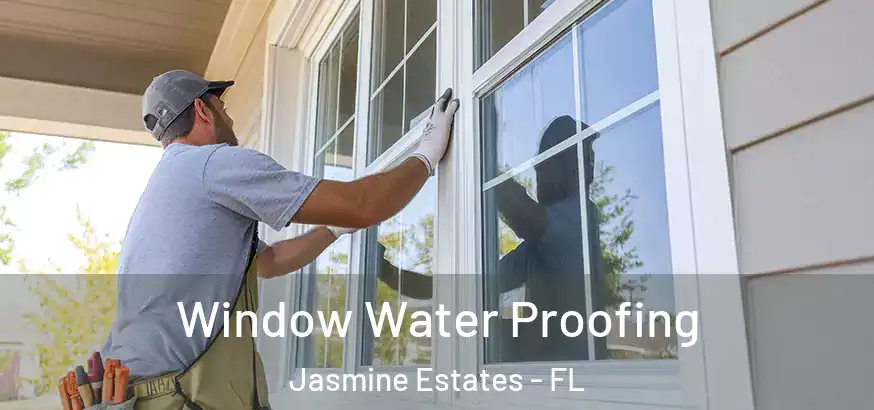 Window Water Proofing Jasmine Estates - FL